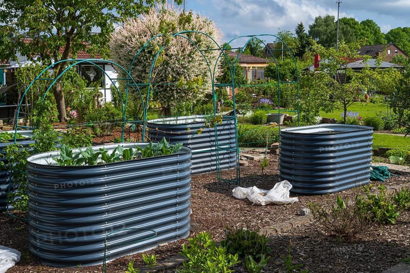 Raised beds with plants in an allotment garden, allotment garden, spring, North Rhine-Westphalia, Germany