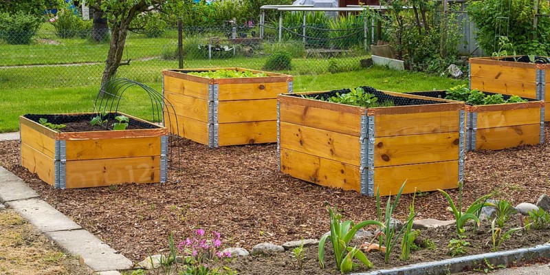 Raised beds in the garden with plants, wooden boxes, allotment garden, spring, North Rhine-Westphalia, Germany
