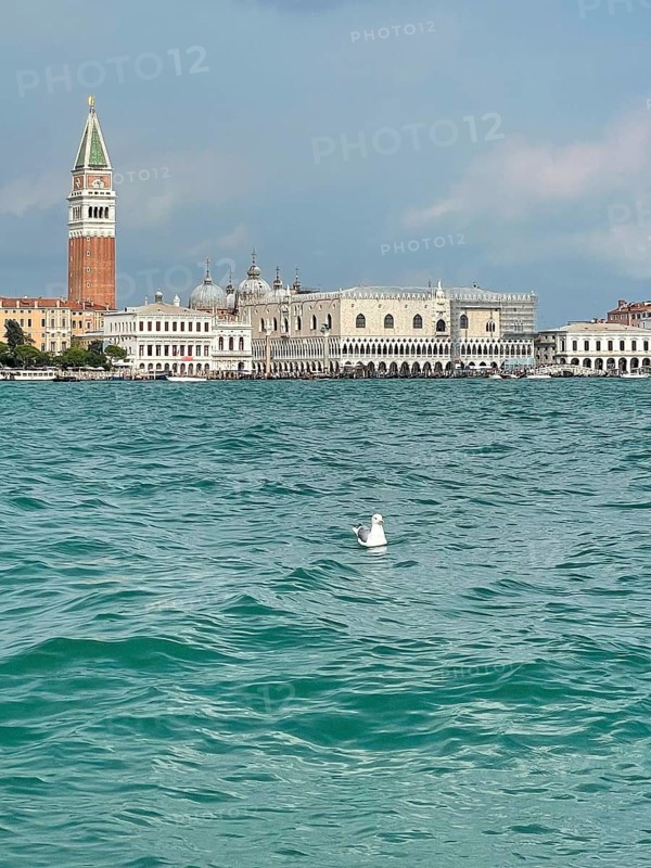 View over the lagoon to Venice with St Mark's Tower, lagoon city of Venice, Veneto, Italy