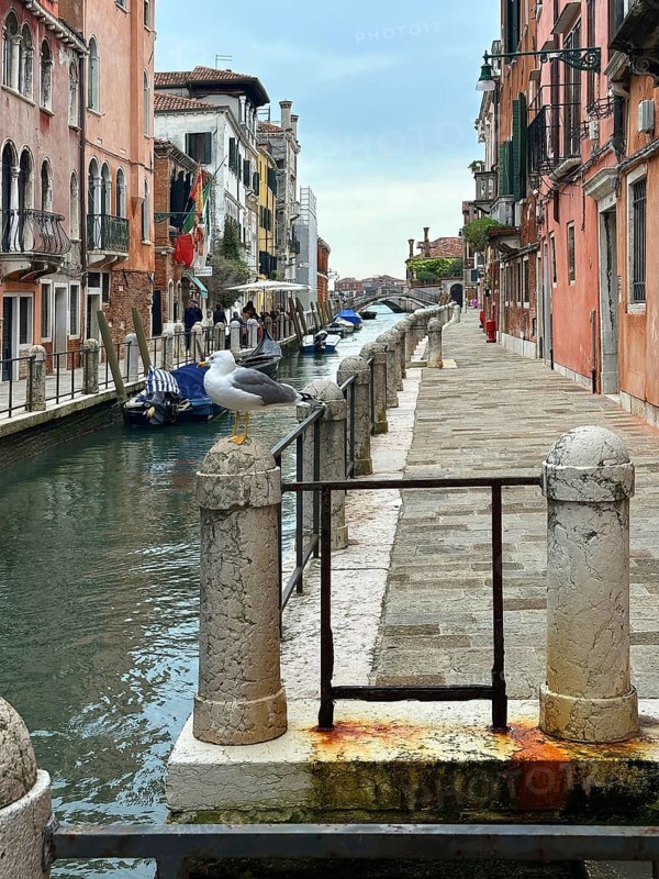 Boats on a canal in Venice, lagoon city of Venice, Veneto, Italy