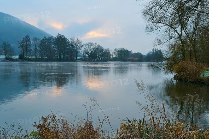 Calm river at sunrise, trees surround the lake, Laudenbach, Main, Spessart, Odenwald, Bavaria Germany