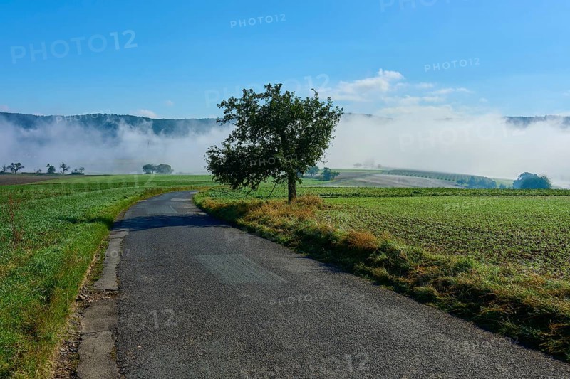 A road leads through foggy fields with hills, Mönchberg, Miltenberg, Spessart, Bavaria, Germany
