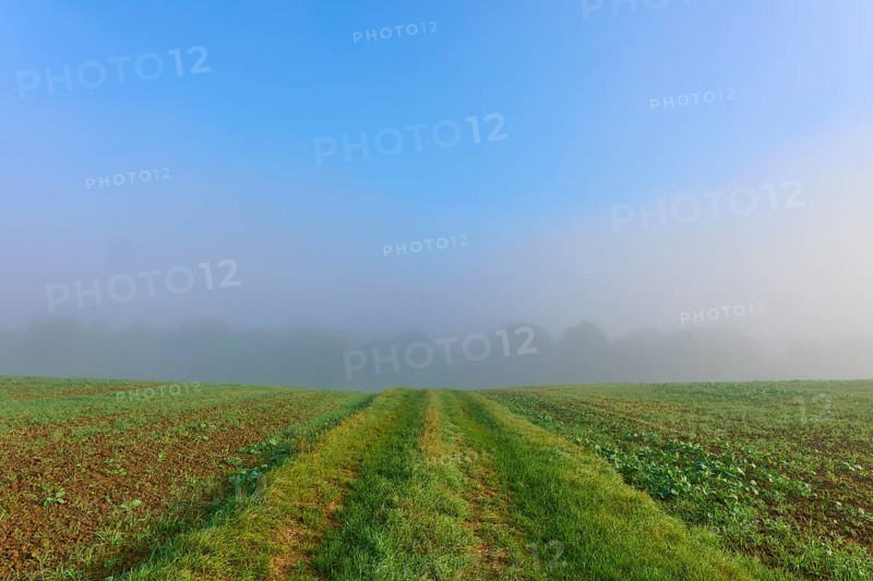Fields under a clear sky with fog in the background, Mönchberg, Miltenberg, Spessart, Bavaria, Germany