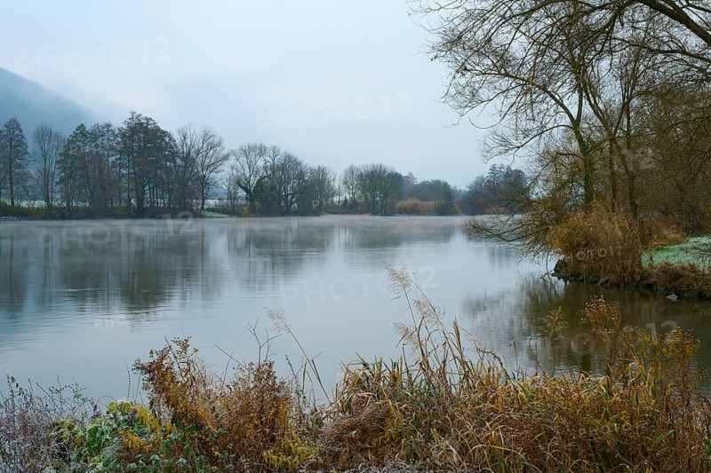 Cold morning on a misty river with grass and trees along the bank, Laudenbach, Main, Spessart, Odenwald, Bavaria Germany