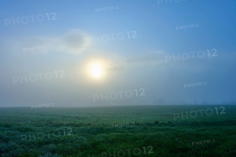 The sun shines through the fog and illuminates the green meadow, Mönchberg, Miltenberg, Spessart, Bavaria, Germany