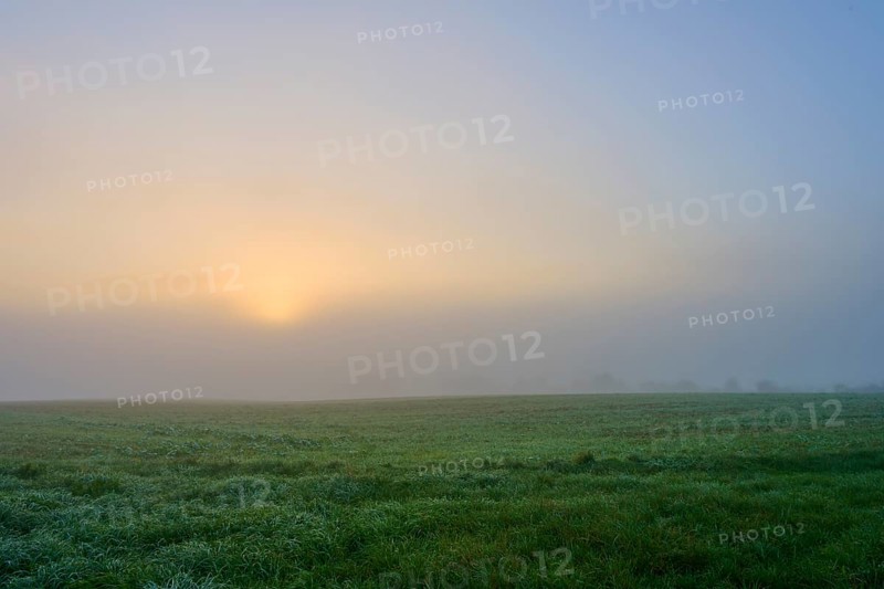 Sunrise over a misty meadow, warm light, Mönchberg, Miltenberg, Spessart, Bavaria, Germany