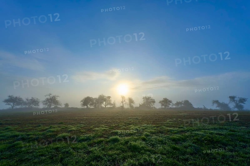 Foggy sunrise over a green meadow, trees silhouetted in the morning light, Mönchberg, Miltenberg, Spessart, Bavaria, Germany