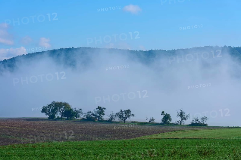 Fog hovers over fields and trees, Mönchberg, Miltenberg, Spessart, Bavaria, Germany