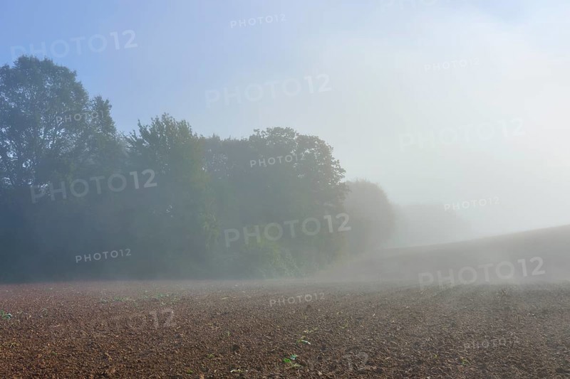 Fog stretches across a field near a forest, Mönchberg, Miltenberg, Spessart, Bavaria, Germany