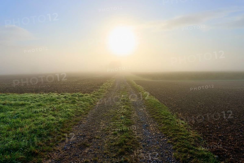 Field path in fog with rising sun and fields, Mönchberg, Miltenberg, Spessart, Bavaria, Germany