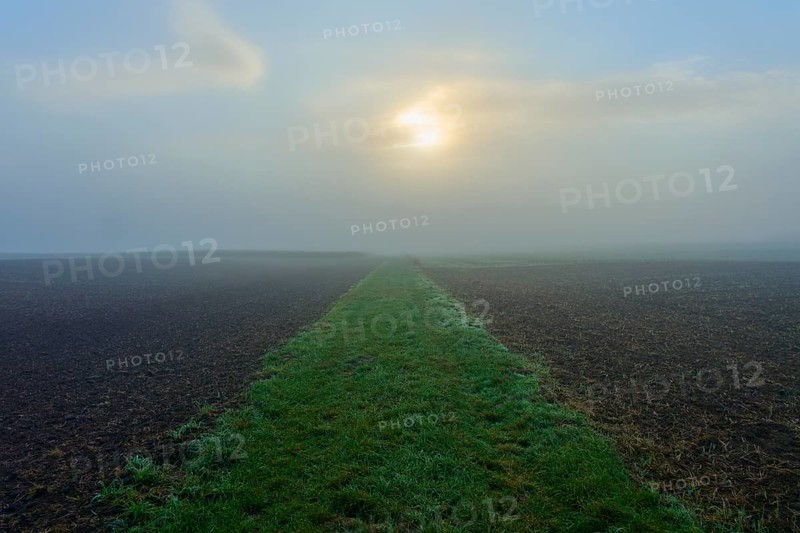 Foggy meadow path and field, quiet atmosphere, Mönchberg, Miltenberg, Spessart, Bavaria, Germany