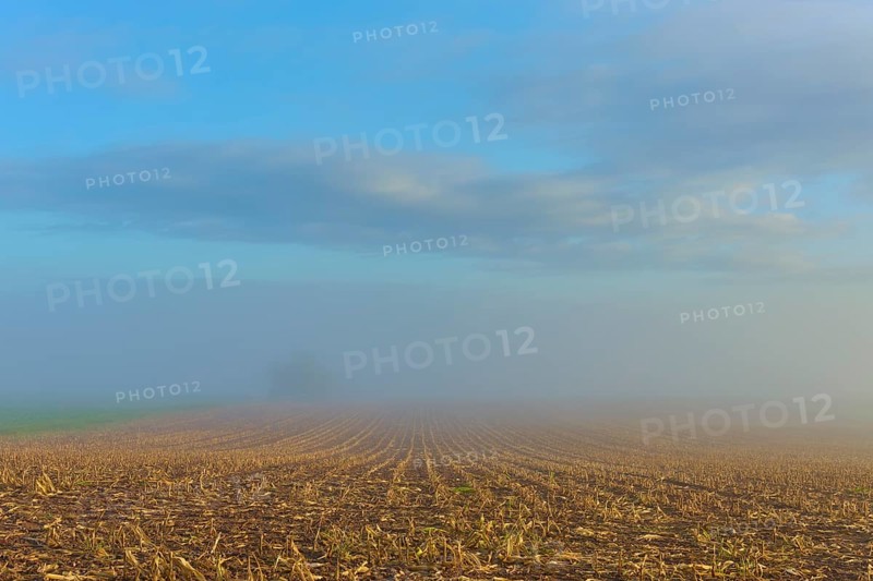 Fog-covered field with sky in autumn, quiet and spacious, Mönchberg, Miltenberg, Spessart, Bavaria, Germany
