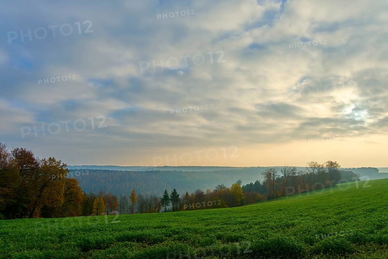 A wide landscape with green meadow and trees under a cloudy sky in the morning light, Hornbach, Walldürn, Odenwald, Neckar-Odenwald Kreis, Baden-Württemberg, Germany