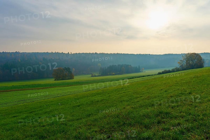 Hilly landscape with green fields and forest in the background under a cloudy sky, Hornbach, Walldürn, Odenwald, Neckar-Odenwald Kreis, Baden-Württemberg, Germany