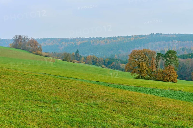 Wide landscape with green fields and trees under a cloudy sky, Hornbach, Walldürn, Odenwald, Neckar-Odenwald Kreis, Baden-Württemberg, Germany