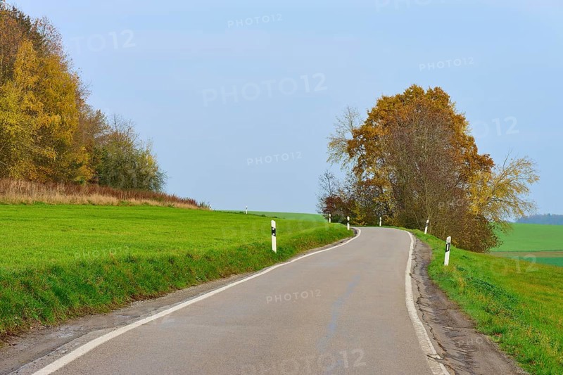 Winding country road between green fields and autumn trees, Hornbach, Walldürn, Odenwald, Neckar-Odenwald district, Baden-Württemberg, Germany
