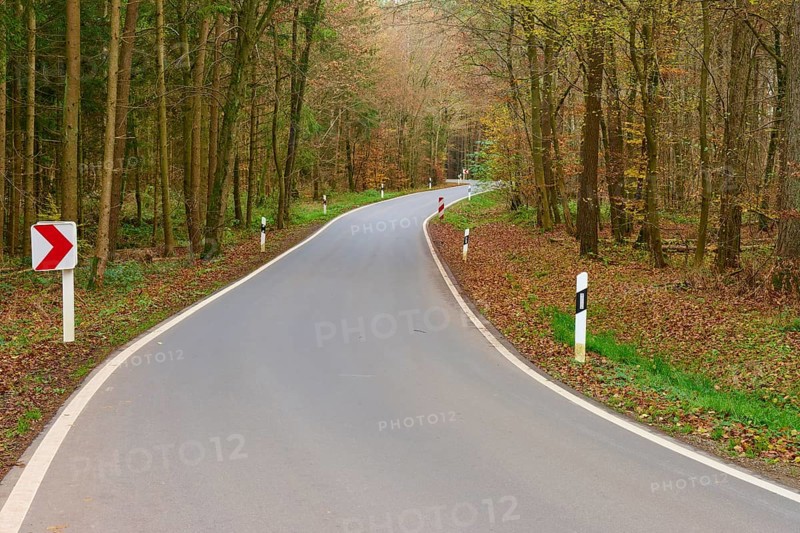 Asphalt road through autumnal forest with several bends, Buchen, Odenwald, Neckar-Odenwald district, Baden-Württemberg, Germany