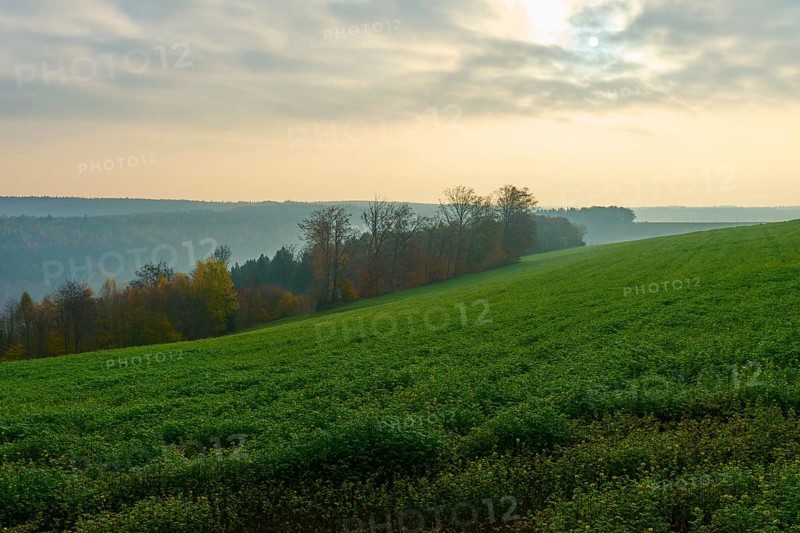 Green hills and trees in a misty morning under a cloudy sky, Hornbach, Walldürn, Odenwald, Neckar-Odenwald district, Baden-Württemberg, Germany