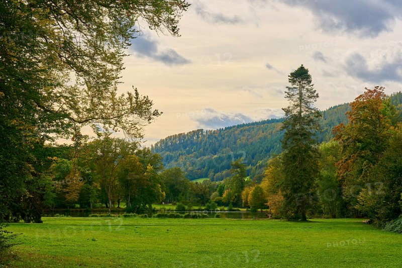 Autumn landscape with green meadow, tall trees and cloudy sky, Amorbach, Odenwald, Bavaria, Germany