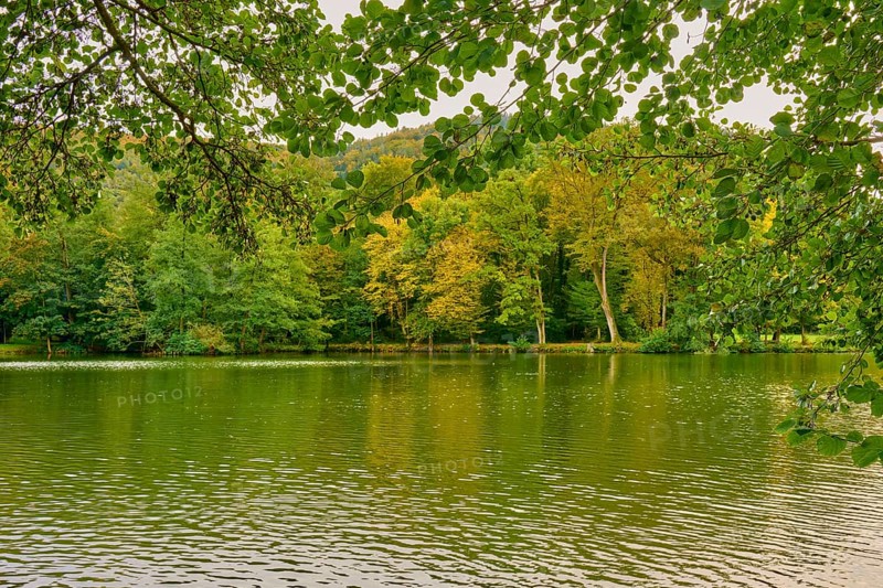 Calm lake surrounded by autumn coloured trees with green leaves in the foreground, Amorbach, Odenwald, Bavaria, Germany