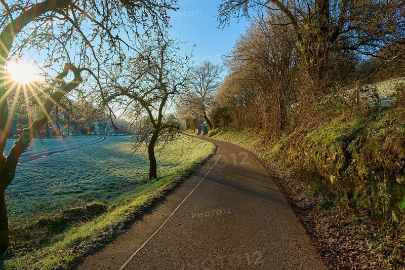 Path along frost-covered trees in the shade of the rising sun, Kirchzell, Amorbach, Odenwald, Bavaria, Germany