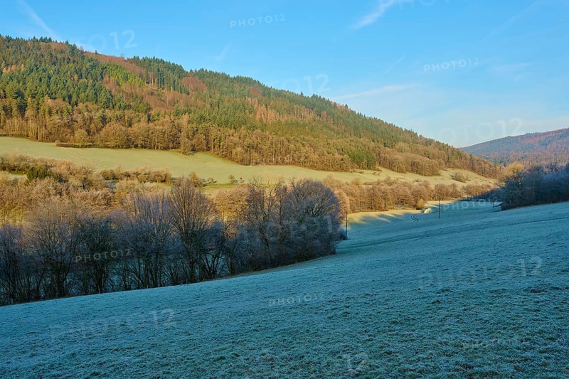 Sunlit meadow in front of a forest with rolling hills in winter morning, Kirchzell, Amorbach, Odenwald, Bavaria, Germany