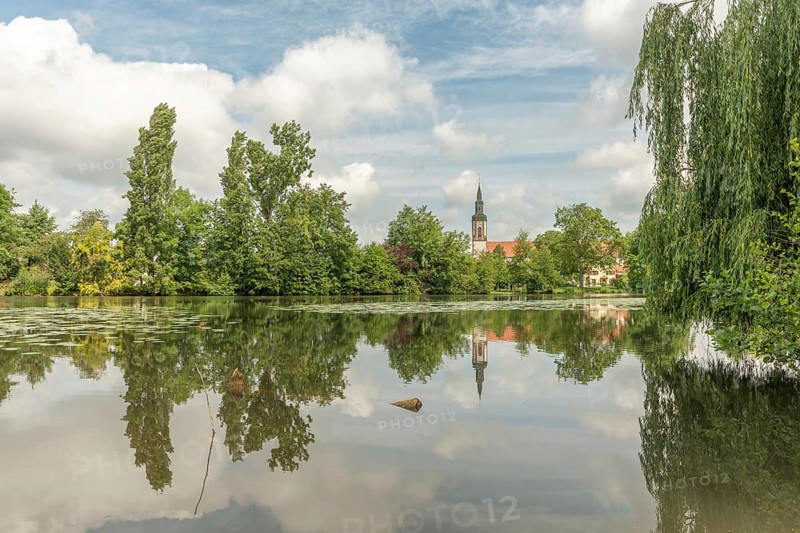 A lake with a tree in the background. The water is calm and still. A building can be seen in the background. Huttenheim, Bas rhin, Alsace, Grand Est, France