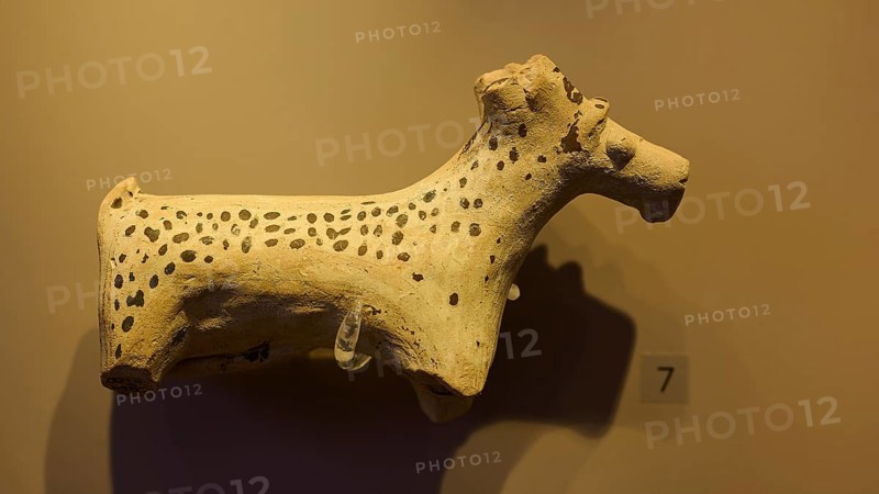 Ceramic figure of a spotted animal, exhibited in a museum-like room, Archaeological Museum, Kos Town, Kos, Dodecanese, Greek Islands, Greece