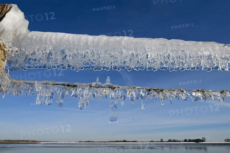 Ice age... Icicles (Rhine floods) on a pasture fence on Bislicher Insel in winter 2020 2021