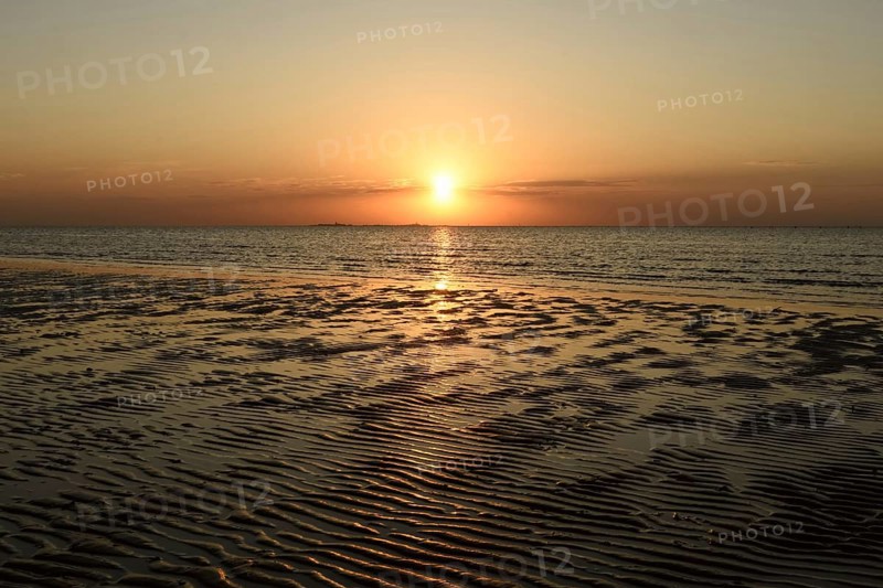 Sunset over the Wadden Sea on the German North Sea coast, typical ripple mudflats at low tide, Lower Saxon Wadden Sea National Park, Lower Saxony, Germany, local nature, landscape, North Sea, Germany, Europe Sunset over the Wadden Sea... Cuxhaven (North Sea), Duhnen, Duhner Watt, Lower Saxon Wadden Sea, low sun over Neuwerk, atmospheric shot, Germany