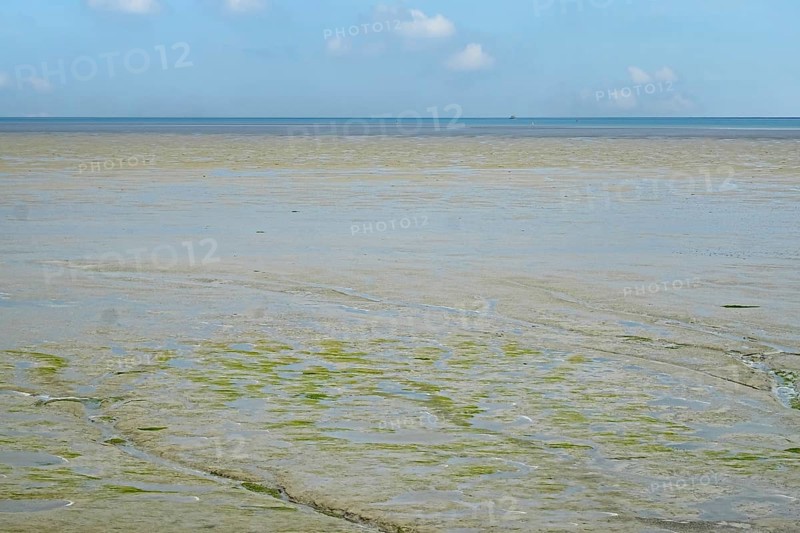 North Sea, Wadden Sea at low tide, Province of Groningen, Netherlands