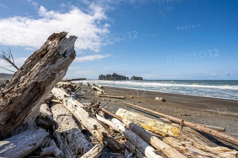 A sunny beach with driftwood, surrounded by sea and rocks under blue sky and clouds, Rialto Beach, Olympic National Park, Washington, USA, North America