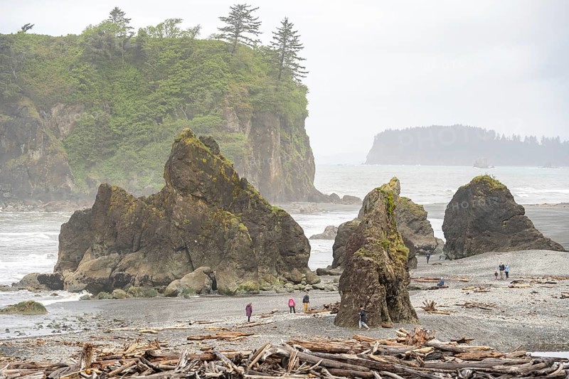 Rocks and driftwood on the beach under a cloudy sky with a small island in the background, Ruby Beach, Olympic National Park, Washington, USA, North America