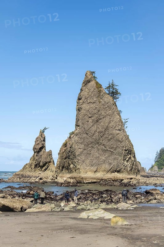 Large rocks protrude from a sandy beach against a clear blue sky, people walk along the shore, Rialto Beach, Olympic National Park, Washington, USA, North America