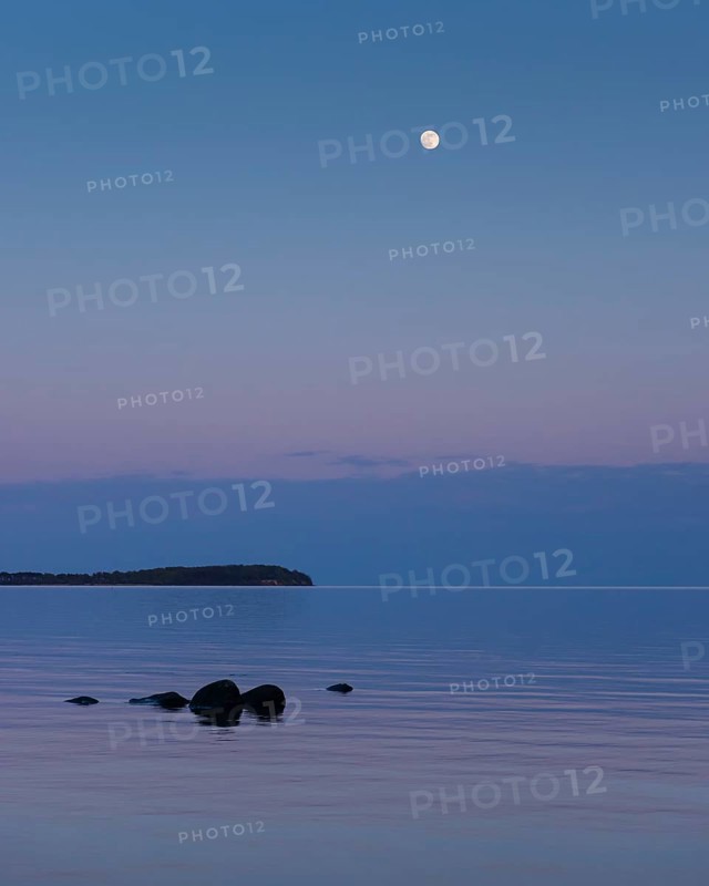 Moonrise on the lagoon on Rügen, Rügen, Glowitz, Mecklenburg-Western Pomerania, Germany