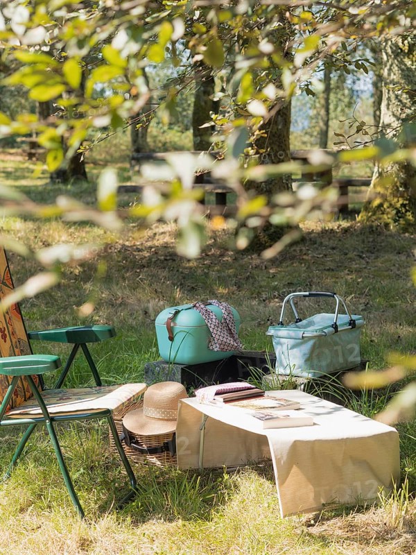 Relaxing picnic scene with baskets, chair, and table in a sunny park