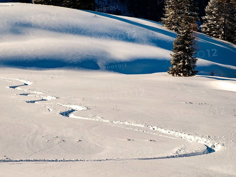 Lonely ski trail in deep snow, Berchtesgaden Alps, Berchtesgaden National Park, Schönau am Königssee, Berchtesgadener Land, Upper Bavaria, Bavaria, Germany