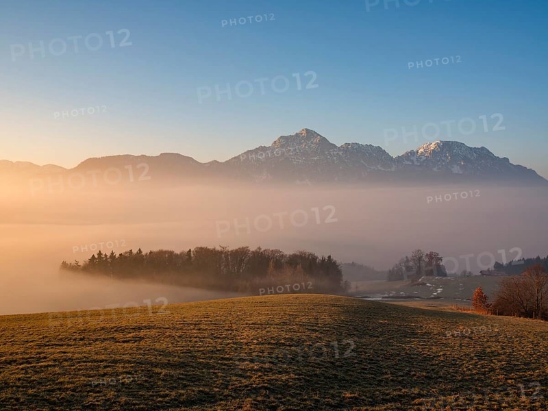 Hochstaufen and Zwiesel behind a meadow above high fog in morning light, Högl, Anger, Berchtesgadener Land, Upper Bavaria, Bavaria, Germany
