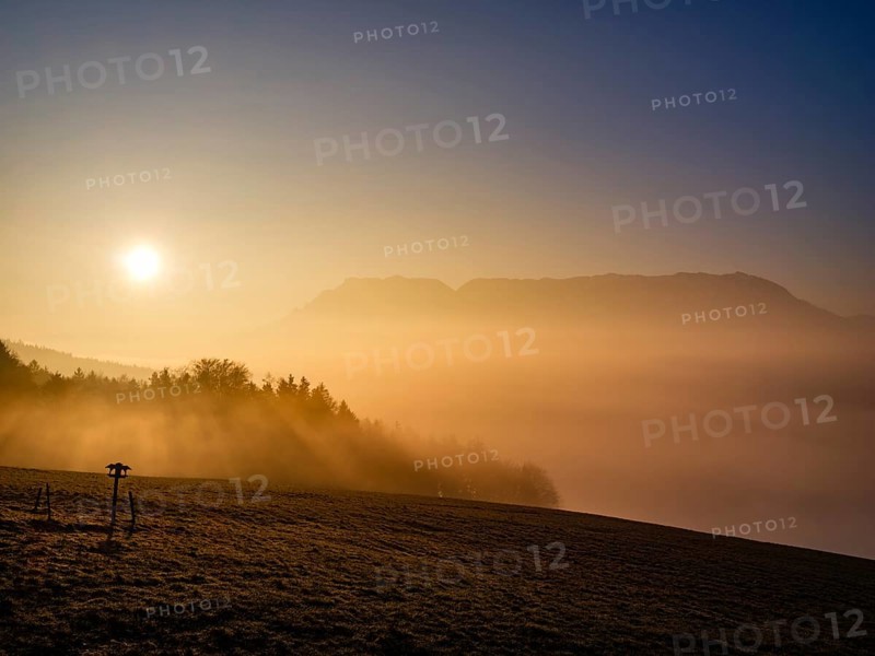 Meadow with birdhouses over high fog at sunrise, Untersberg in the background, Högl, Anger, Berchtesgadener Land, Upper Bavaria, Bavaria, Germany