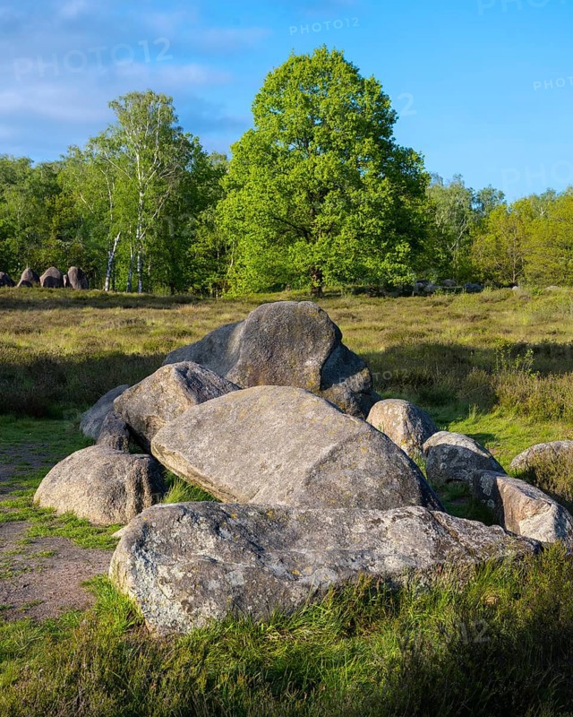 Glan Bride, Glander Steine, megalite grave, megalite culture, Dötlingen, Lower Saxony, Germany