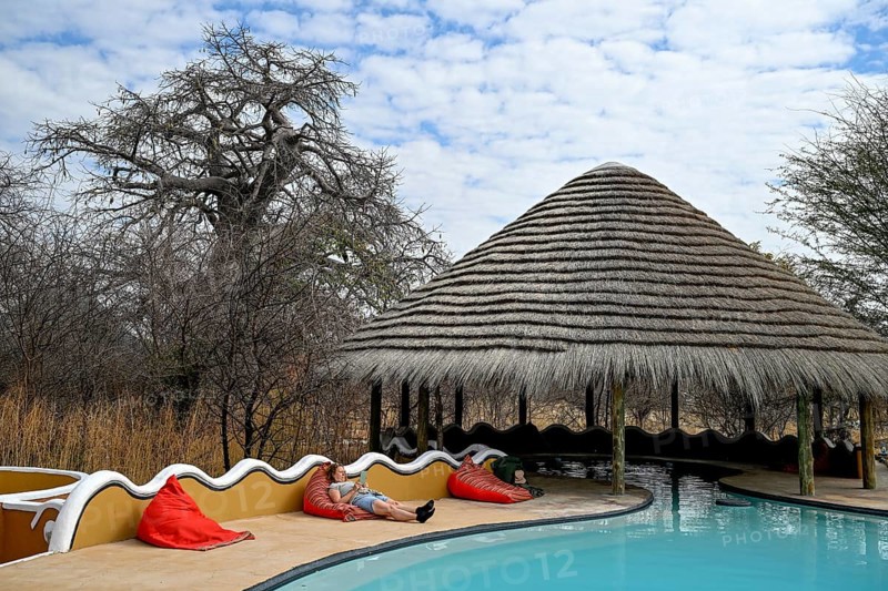 Planet Baobab swimming pool, lodge near the village of Gweta, Makgadikgadi Pans National Park, Central District, Botswana