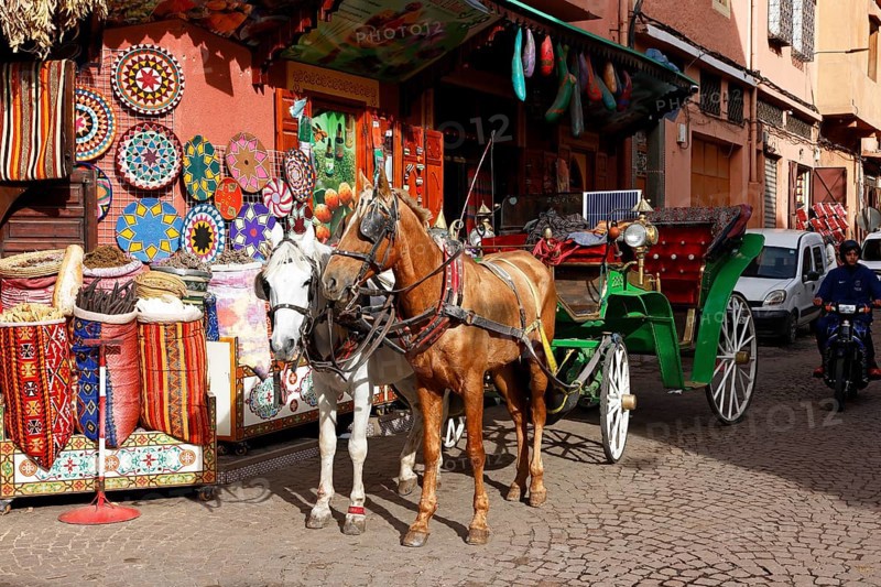 Horses and horse-drawn carriage for sightseeing tours with tourists in an old town alley, Marrakech, historic old town, Medina, UNESCO World Heritage Site, Morocco