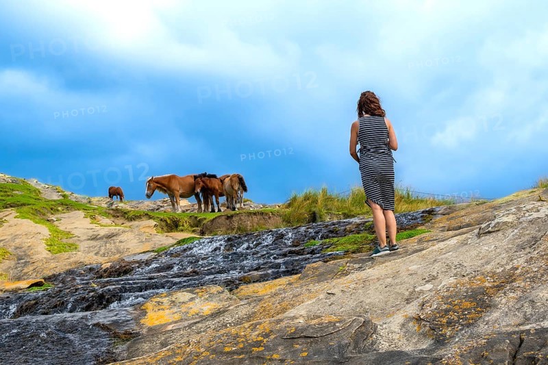 Woman standing on rocky slope, watching a herd of wild horses grazing on a grassy hillside beside a streaming creek under a cloudy blue summer sky, peaceful moment