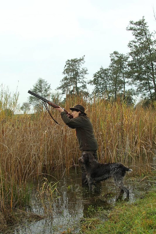 Huntress with hunting rifle stands in reeds in water and aims at flying ducks, hunting dog Cesky Fousek in her side, Allgäu, Bavaria, Germany, Allgäu, Bavaria, Germany