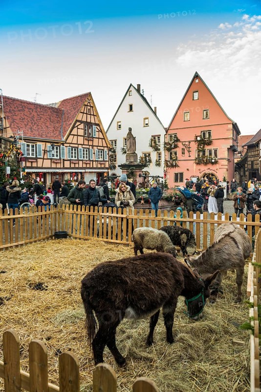 Christmas market, Eguisheim, Haut-Rhin, Grand Est Region, Alsace, France