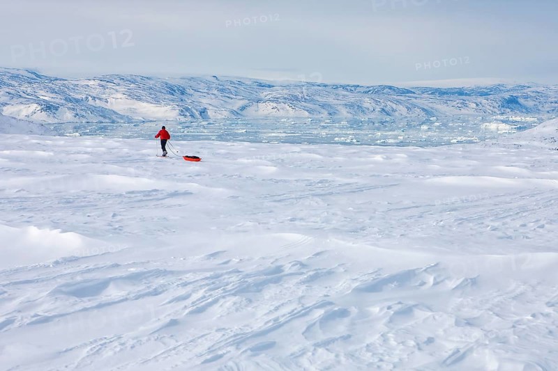 A tourist on a winter Arctic expedition skiing along Ikasartivaq Fjord, Sermersooq municipality, north of Ammassalik Island and facing Sermilik, Greenland, North America