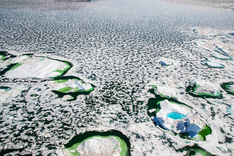 Aerial view of melting icepack and icebergs, Greenland (Kalaallit Nunaat), Arctic Ocean, climate change, global warming, geographically part of North America, politically part of the Kingdom of Denmark