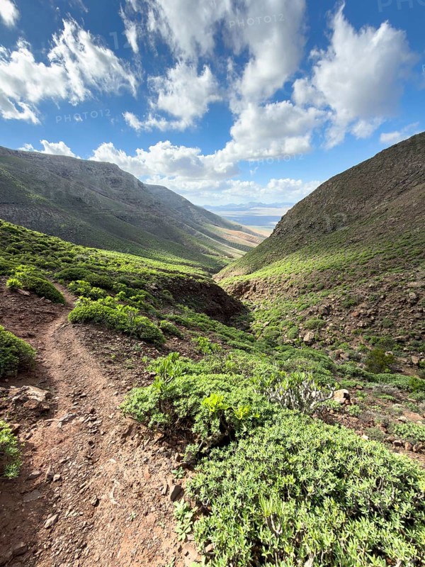 View of the green valley of Risco de Famara against a blue sky with white clouds, Caleta de Famara, Lanzarote, Canary Islands, Spain
