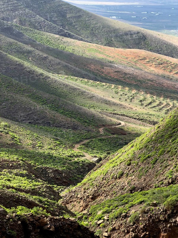 View of the green valley of Risco de Famara, Caleta de Famara, Lanzarote, Canary Islands, Spain