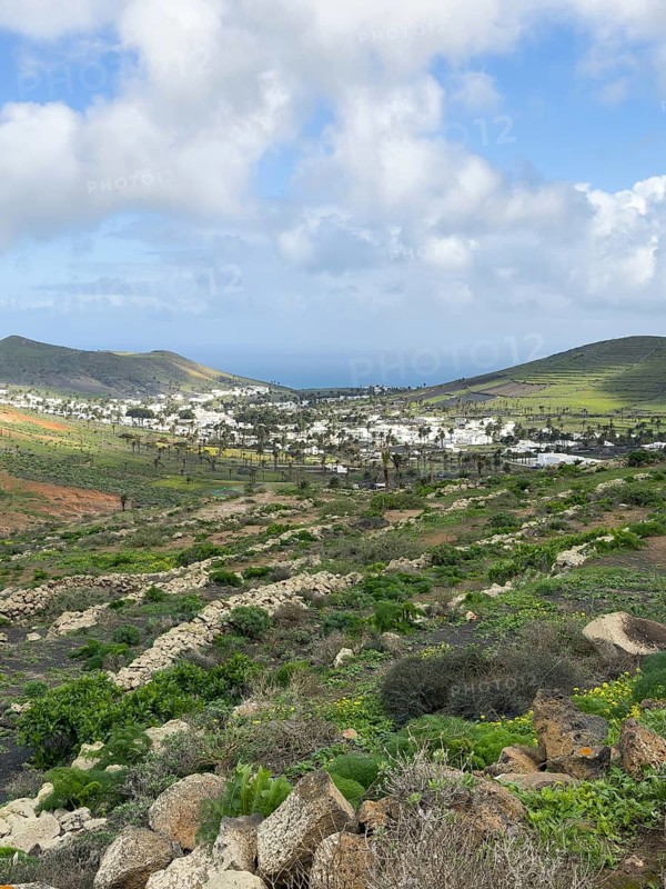 Valley of 1000 Palms, Haria, Lanzarote, Canary Islands, Spain